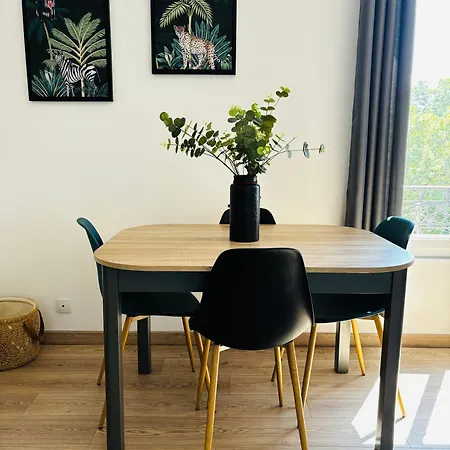 15 Mn De Paris, Perle Rare Avec Vue - 2 *